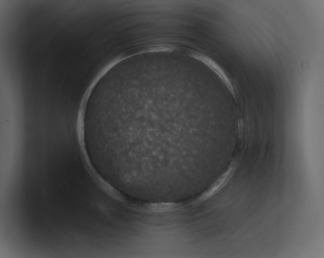 X0000101120859200807101541