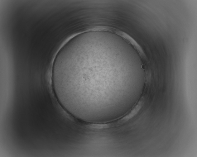 X0000101120860200807101541