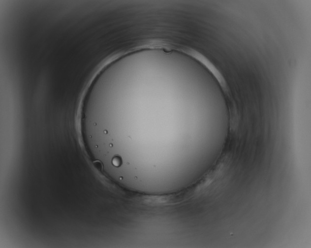 X0000101120861200807101541