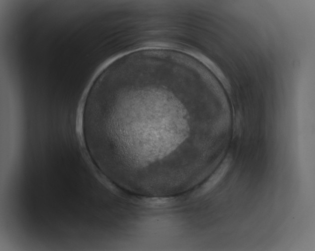 X0000101120862200807101541