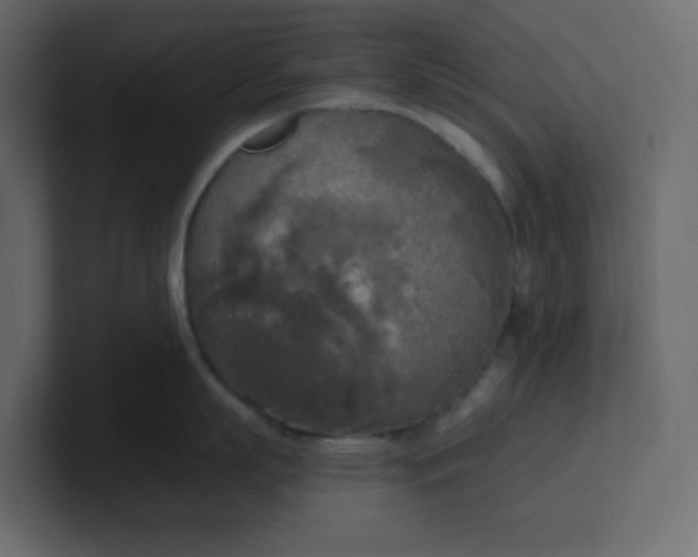 X0000101120863200807101541