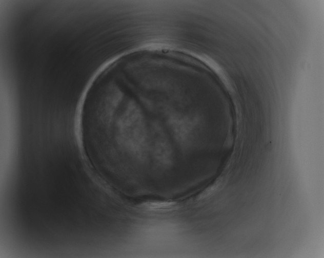 X0000101120864200807101541