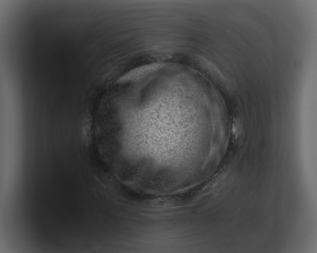 X0000101120867200807101541