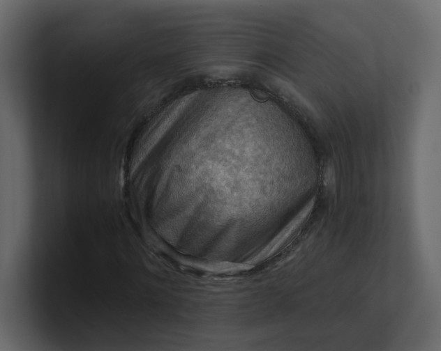 X0000101120868200807101541
