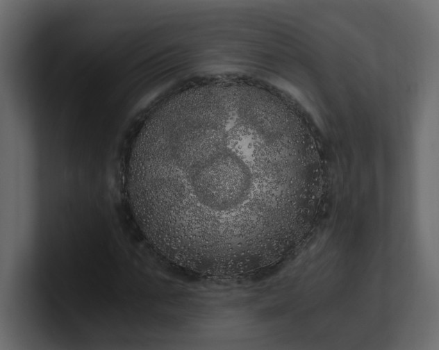 X0000101120871200807101541
