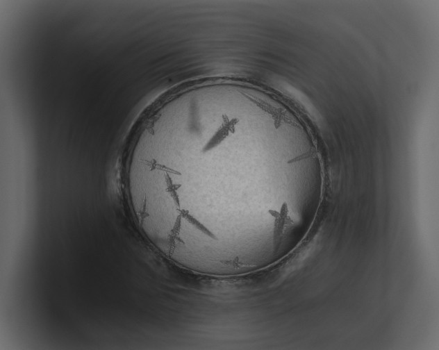 X0000101120875200807101541