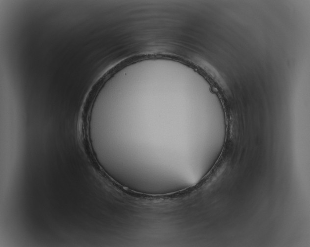 X0000101120876200807101541
