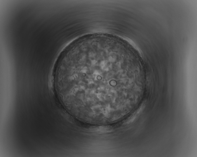 X0000101120879200807101540