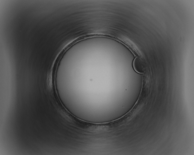 X0000101120884200807101540
