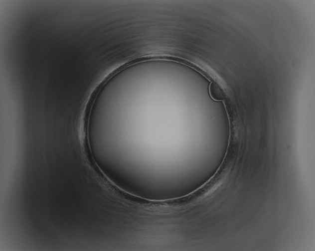 X0000101120885200807101540