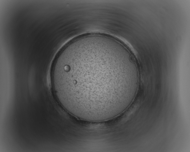 X0000101120887200807101540