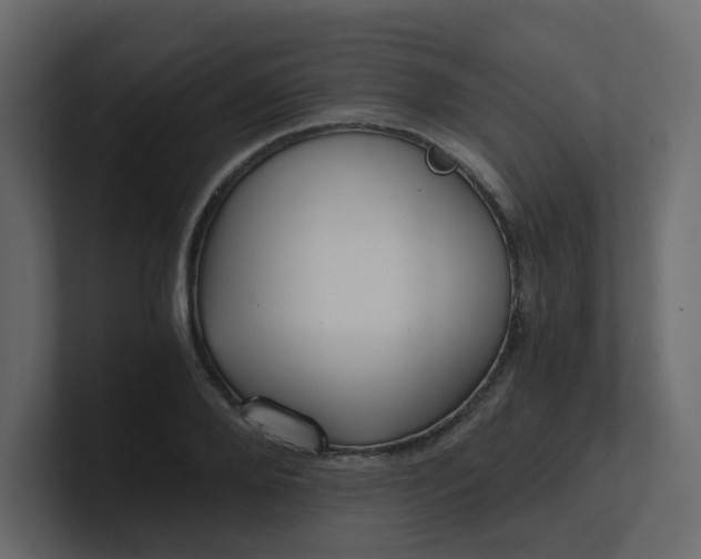 X0000101120888200807101540