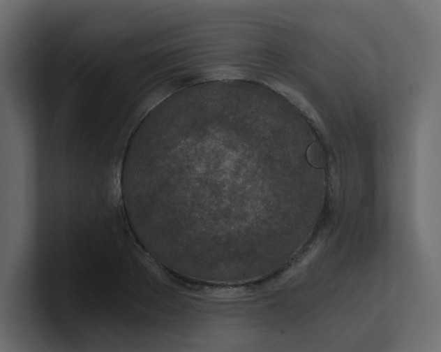 X0000101120889200807101540
