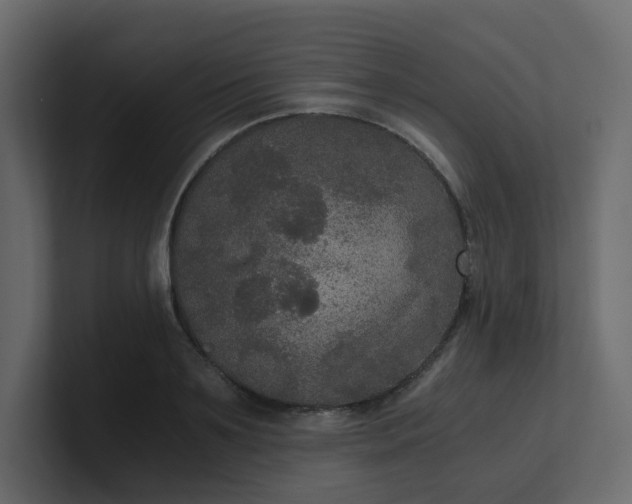 X0000101120891200807101540