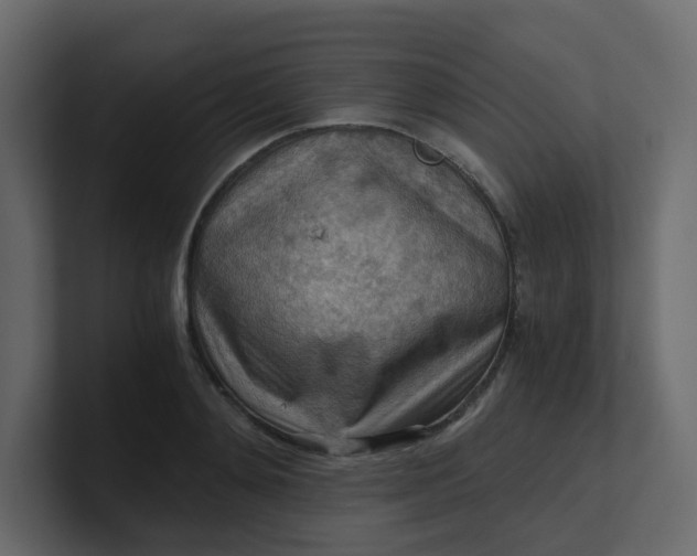 X0000101120892200807101540