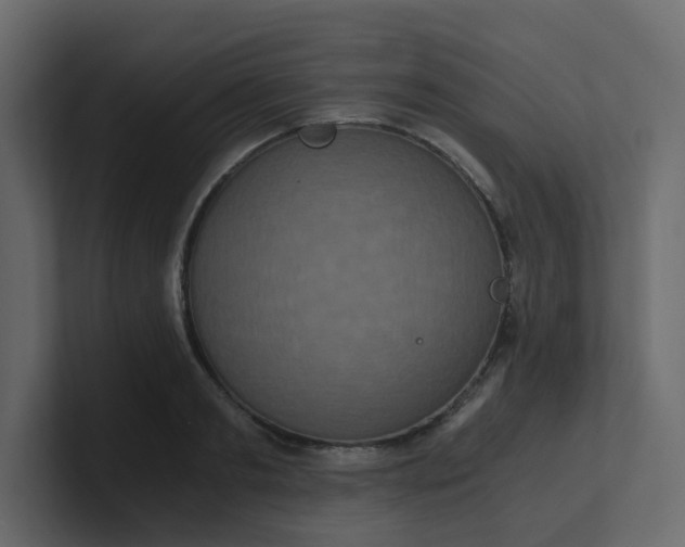 X0000101120893200807101540