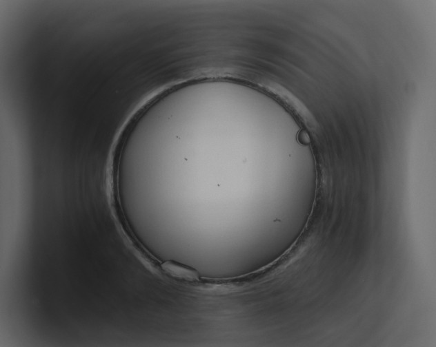 X0000101120894200807101540