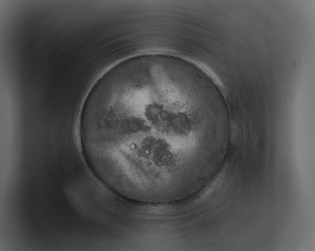 X0000101120895200807101540