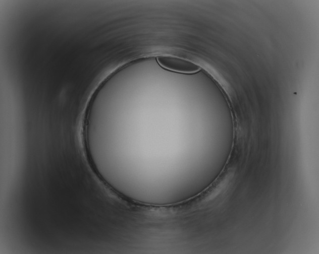 X0000101120901200807101540