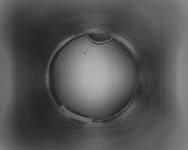 X0000101120902200807101540