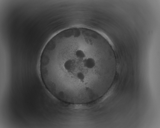 X0000101120903200807101540