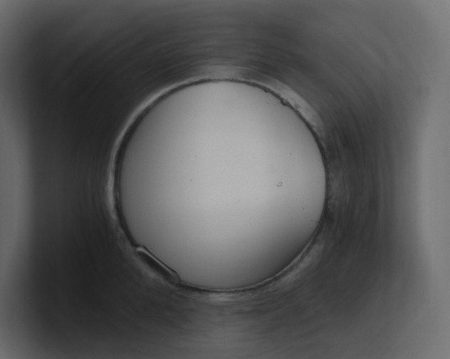X0000101120904200807101540