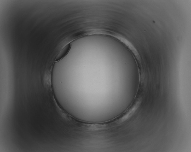 X0000101120905200807101540