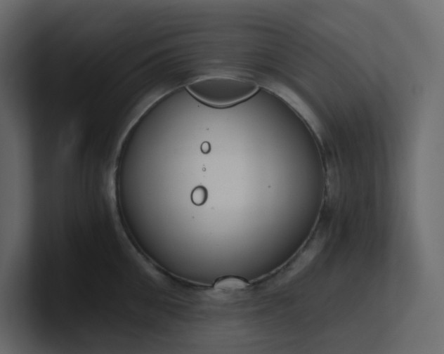 X0000101120906200807101540