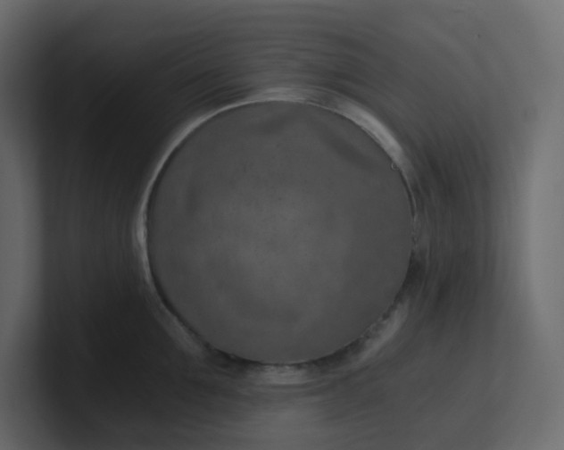X0000101120907200807101540
