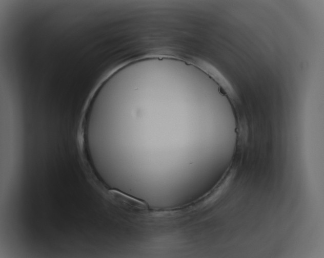 X0000101120908200807101540