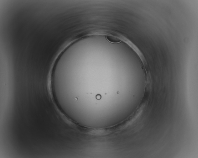 X0000101120909200807101540