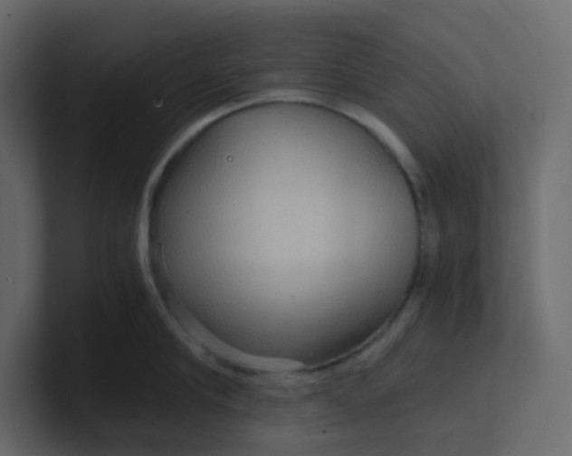 X0000101120910200807101540
