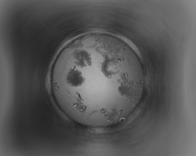 X0000101120911200807101540