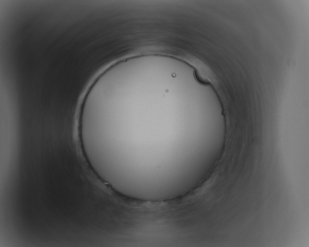 X0000101120912200807101540