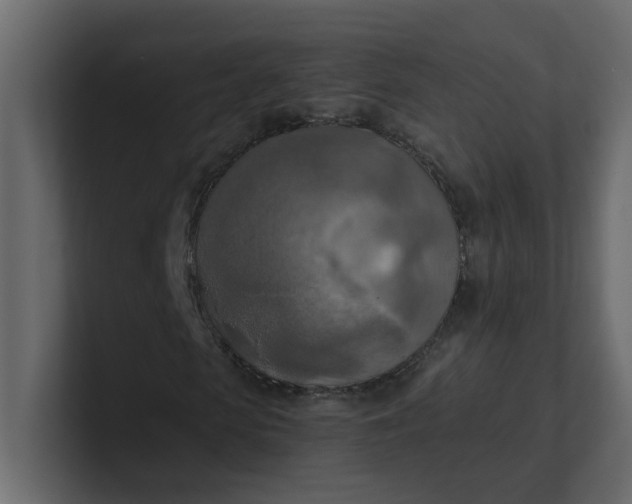 X0000101120913200807101539