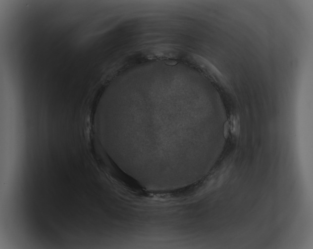 X0000101120915200807101539