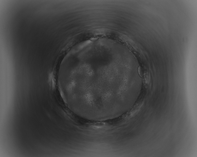 X0000101120916200807101539