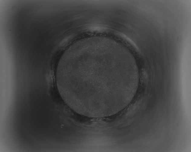 X0000101120918200807101539