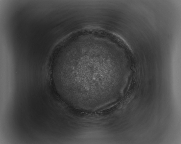 X0000101120919200807101539
