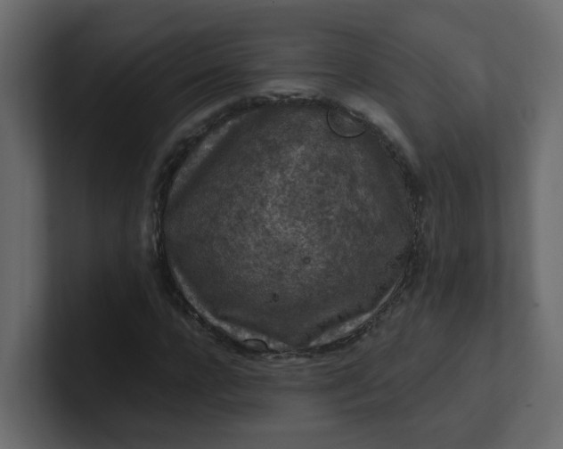 X0000101120920200807101539