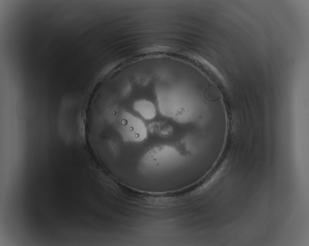 X0000101120921200807101539