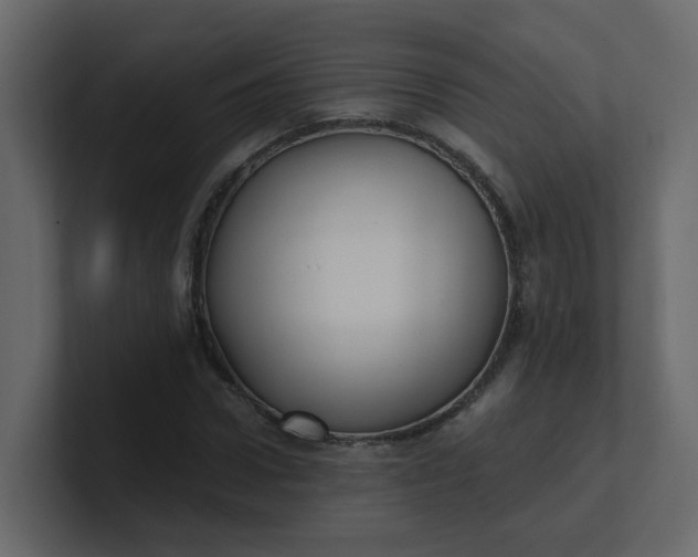 X0000101120922200807101539
