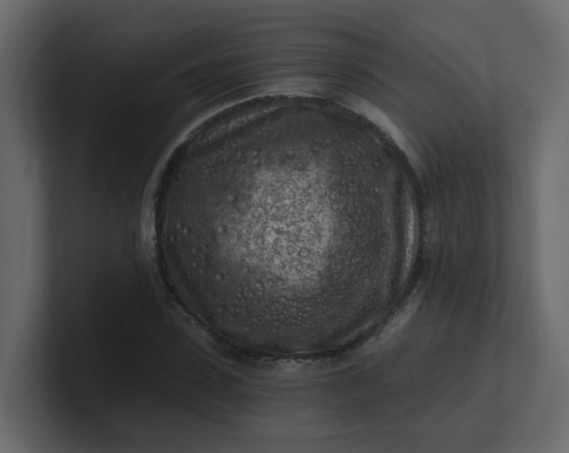 X0000101120923200807101539