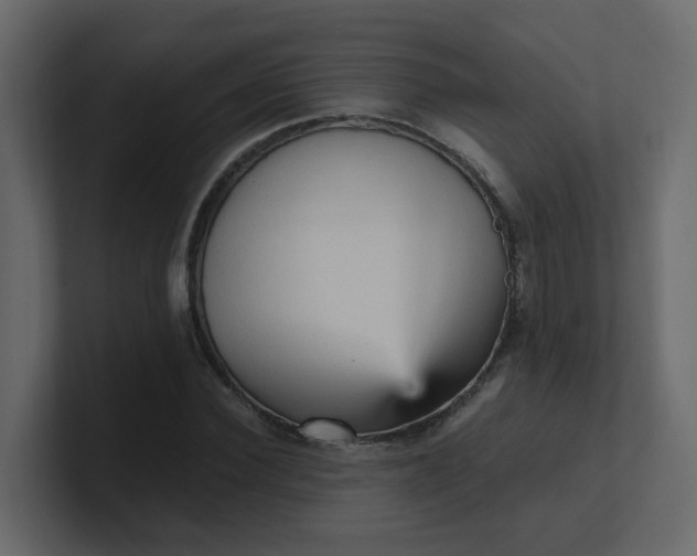 X0000101120924200807101539