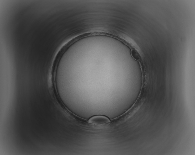 X0000101120928200807101540