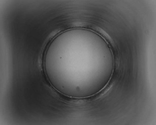 X0000101120930200807101540