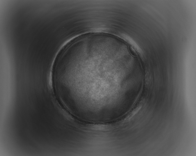 X0000101120932200807101540