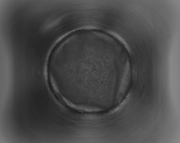 X0000101120935200807101540