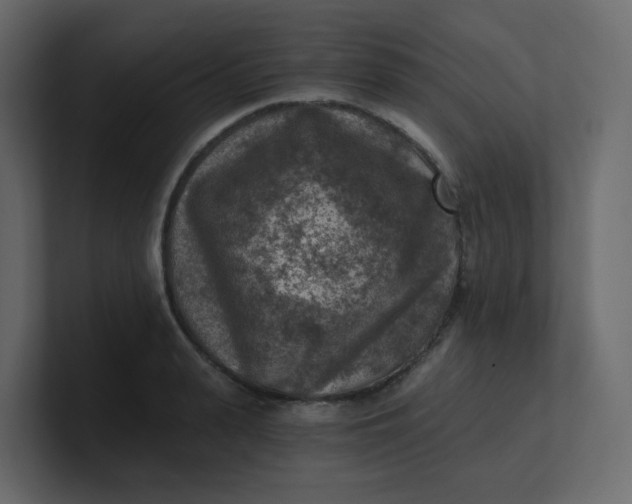X0000101120943200807101540