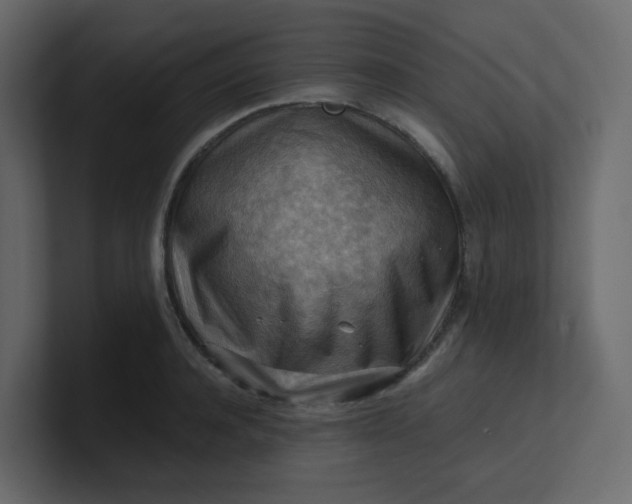 X0000101120944200807101540